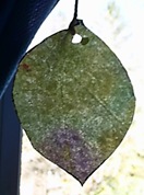 watercolor coffee filter leaf