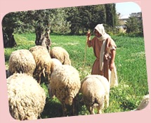 Nazareth.Shepherd
