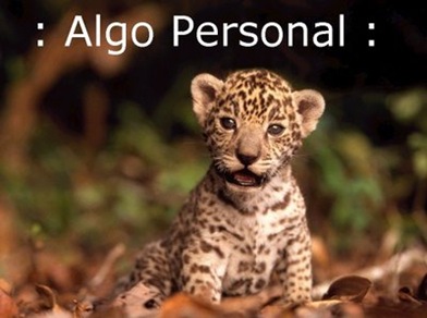 ALGO PERSONAL 04