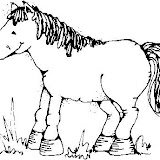 caballo sonrie.gif.jpg