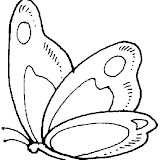 mariposa44.gif.jpg