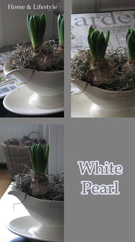 [Collage White Pearl[9].jpg]