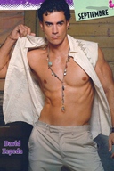 David Zepeda Quintero - Hot Male Actor Telenovelas