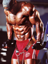 Male Bodybuilder Photo Gallery - Muscle In Action