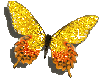 [butterfly3[2].gif]