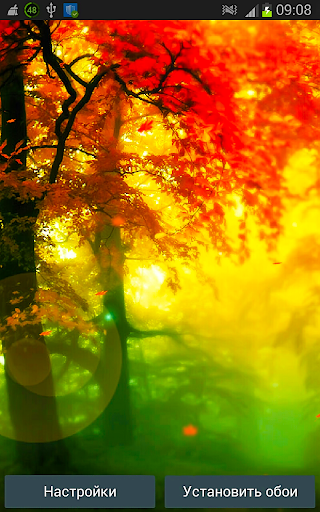 Осенний Лес HD Живые Обои