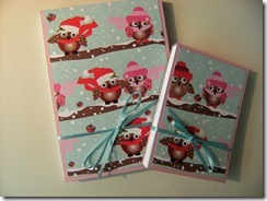 Covered_Notebooks_Pink_Owls