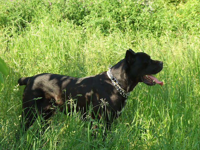 DSCF8123.JPG