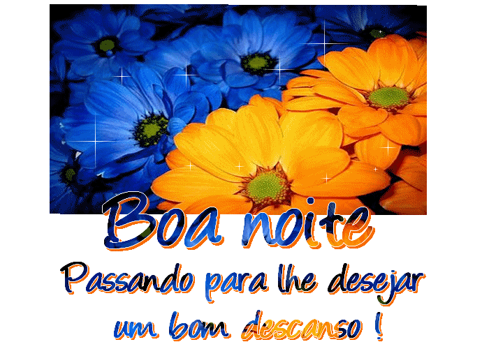 boa%20noite01.4.gif