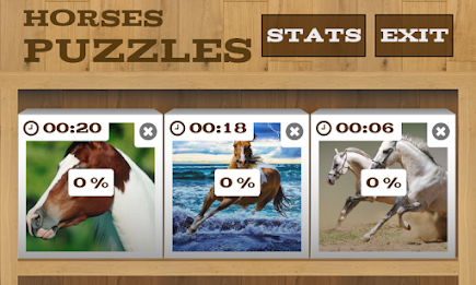 Horses Puzzles poster 7