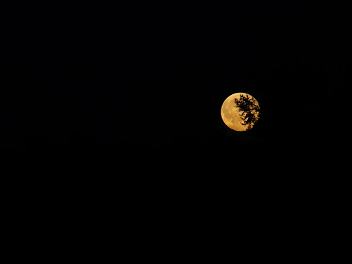 DSC02842.JPG