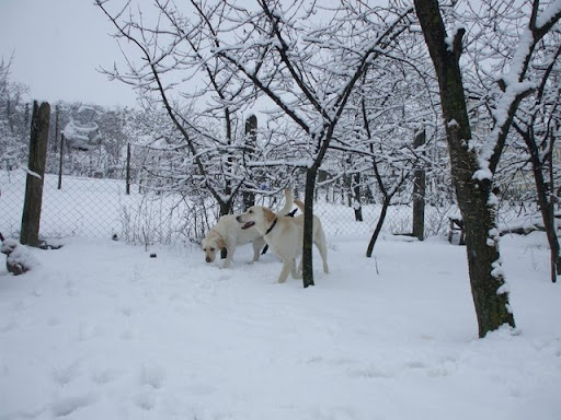 DSCF7781.JPG