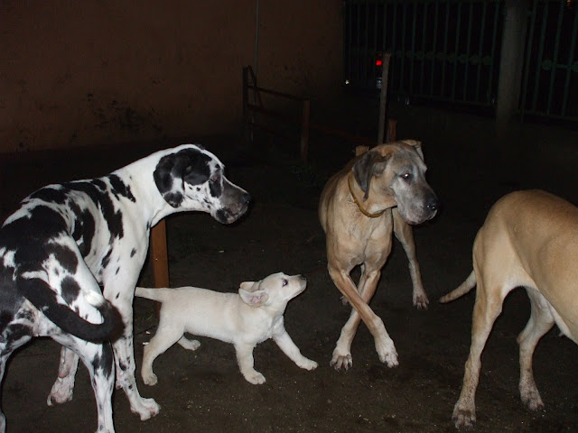 DSCF3127.JPG