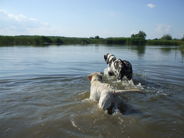 DSCF5648.jpg