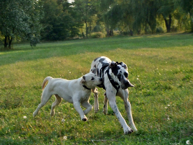 DSCF6343.jpg
