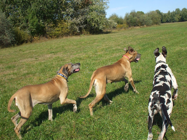 DSCF6554.jpg