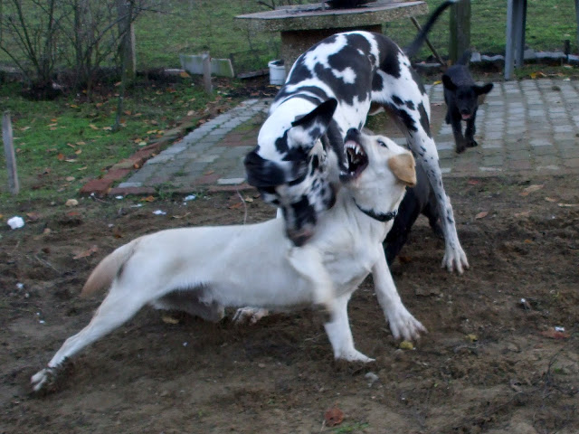 DSCF7133.jpg