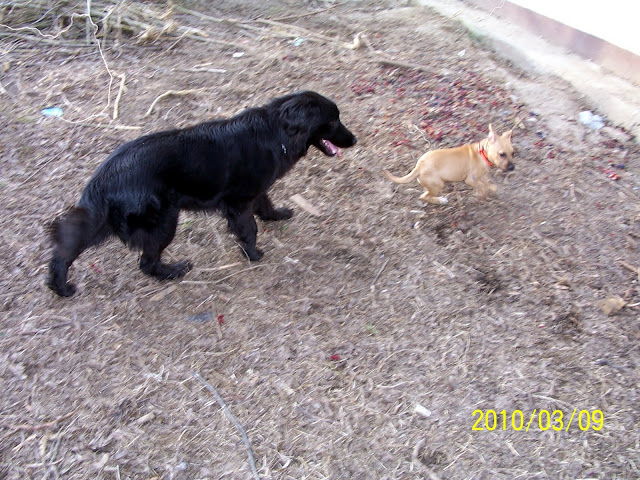100_1696.JPG