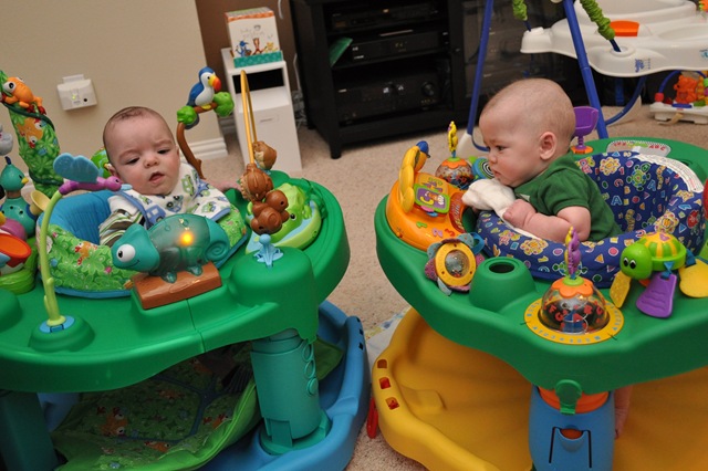 [The competing exersaucer[6].jpg]
