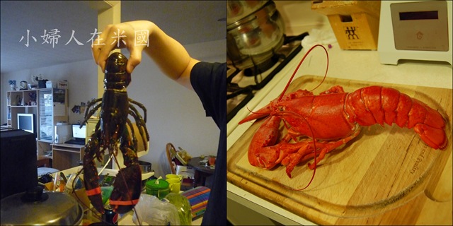 [lobster[3].jpg]