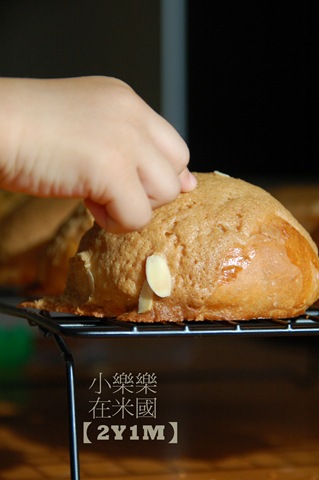 [DSC_30393.jpg]