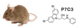 neuroprotective compound P7C3