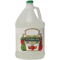 vinegarp