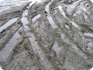 dailiness.com mud