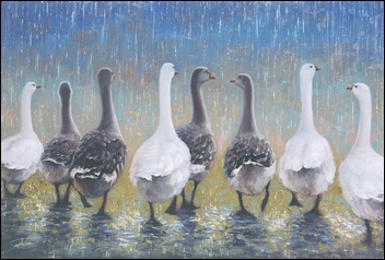 quacking_in_the_rain