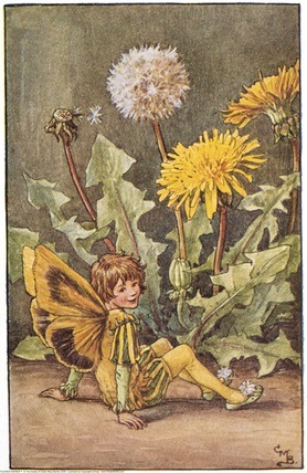 [The Dandelion Fairy;[5].jpg]