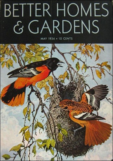 1934 Better Homes & Gardens Cover  Baltimore Oriole  Lynn Bogue Hunt