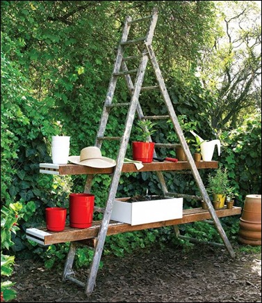  Ladder pland shelf