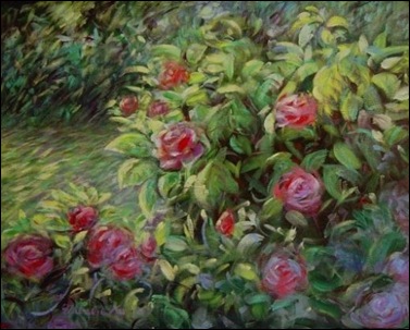 rose garden by Natalie M. Ko