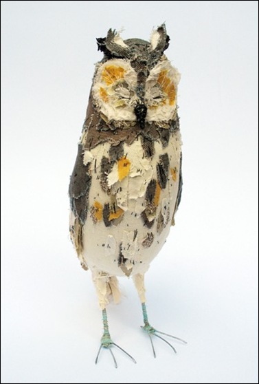 longeared owl