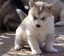 DSC09109.JPG