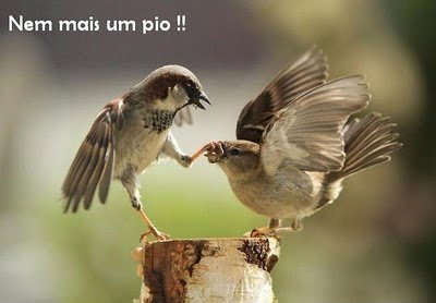 OgAAAHmfHaIqK6ge7DVGPjgZHzRypAh1wnm7-rXOpkYMFdQFOiINWZdXbXbtBsOpqXJakFnaP_sROMs_Cnu0cZopsqAAm1T1UL4VuWupb2BD40KJyKP554Ya3TAD.jpg