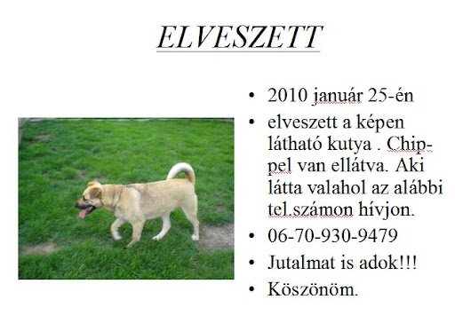 ppt.jpg