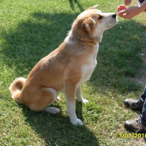 SDC10061_001.JPG