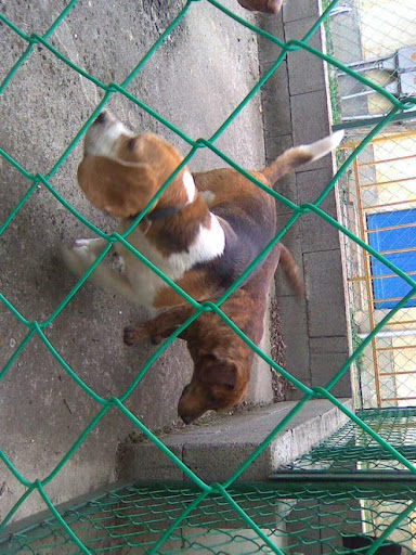20100907_002.jpg