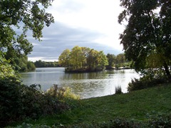 Lake island - Arrow Valley Country Park