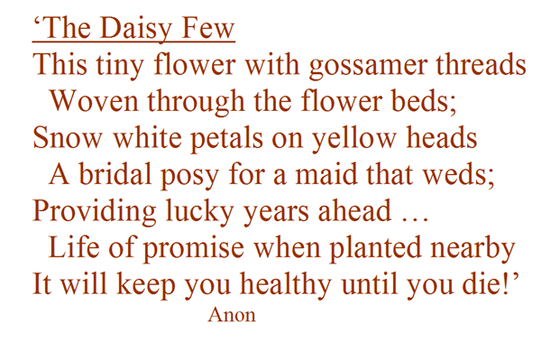 The Daisy Few - poem