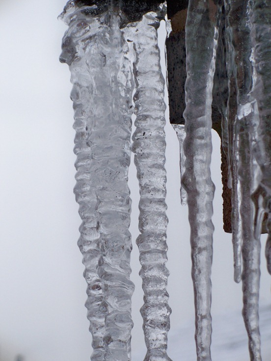 Icicle family 3