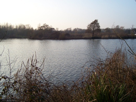 The lake in early evening - March