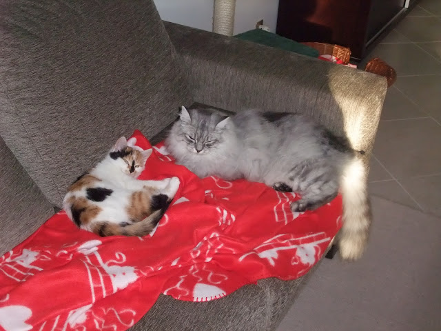 DSCF1934.JPG