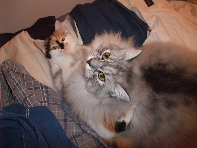 DSCF1977.JPG