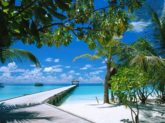 [Ari Atoll, Maldives[10].jpg]