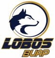 [lobos BUAP[4].jpg]