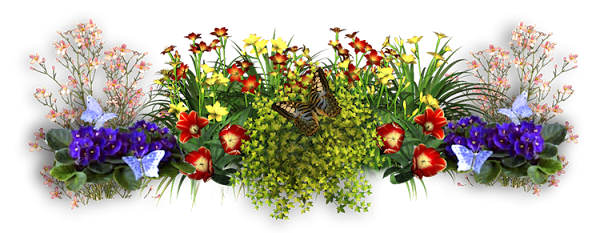 REGINAflowers-2.png