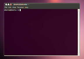 ubuntu 10.04 screenshot terminal radiance