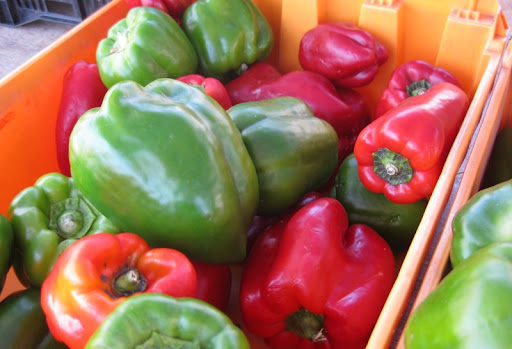 Red and Green Bell Peppers at the PB Farmers Market